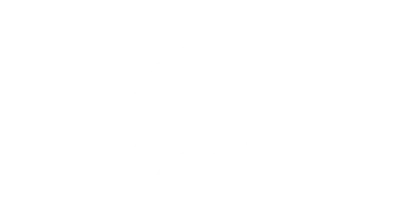 Fujitsu