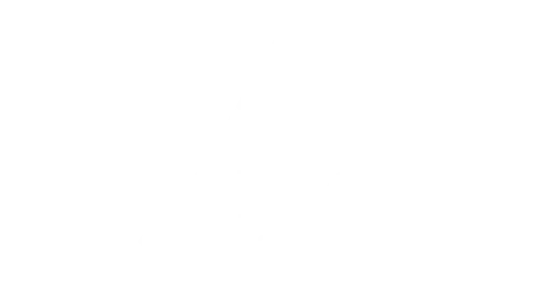 SPIG
